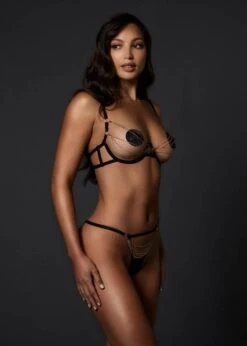 BLUEBELLA Oriana Thong -BLUEBELLA Sales Store bluebella oriana thong black gold chain bottoms sexy lingerie G