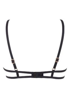 BLUEBELLA Sapphira Open Bra -BLUEBELLA Sales Store bluebella sapphira wired open bra cupless cutout non padded sexy lingerie H