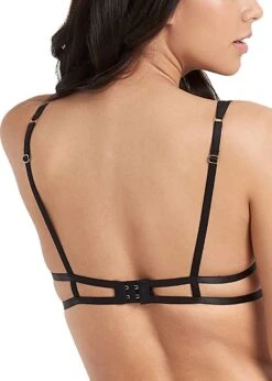 BLUEBELLA Simone Bra 9 BLUEBELLA Simone Bra -BLUEBELLA Sales Store bluebella simone bra cupless nonpadded underwire openbra sexy lingerie 41281 C