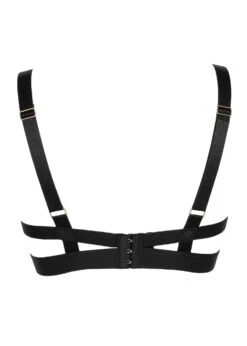 BLUEBELLA Sofia Bra -BLUEBELLA Sales Store bluebella sofia bra underwire black mesh v cut plunge sexy lingerie H