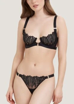 BLUEBELLA Sofia Brief -BLUEBELLA Sales Store bluebella sofia brief black mesh panty sexy lingerie luxury lingerie D