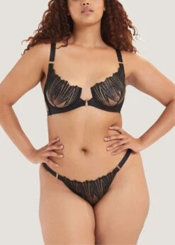 BLUEBELLA Sofia Brief -BLUEBELLA Sales Store bluebella sofia brief black mesh panty sexy lingerie luxury lingerie F