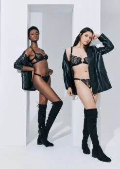 BLUEBELLA Sofia Brief -BLUEBELLA Sales Store bluebella sofia brief black mesh panty sexy lingerie luxury lingerie G