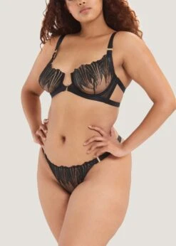 BLUEBELLA Sofia Thong 13 BLUEBELLA Sofia Thong -BLUEBELLA Sales Store bluebella sofia thong black mesh bottoms sexy lingerie luxury lingerie F