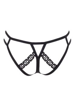 BLUEBELLA Sylvie Open Back Brief -BLUEBELLA Sales Store bluebella sylvie open brief ouvert panty bottoms sexy lingerie I