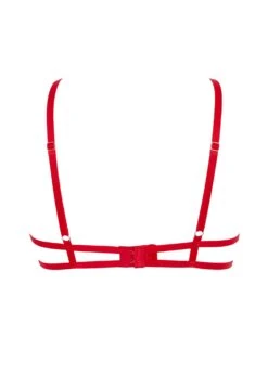 BLUEBELLA Tallulah Open Bra (Red) 15 BLUEBELLA Tallulah Open Bra (Red) -BLUEBELLA Sales Store bluebella tallulah bra tomato red cupless open bra ultra sexy lingerie H