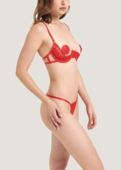 BLUEBELLA Tallulah Thong (Red) -BLUEBELLA Sales Store bluebella tallulah thong red lace gstring underwear sexy lingerie E