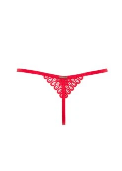 BLUEBELLA Tallulah Thong (Red) -BLUEBELLA Sales Store bluebella tallulah thong red lace gstring underwear sexy lingerie H