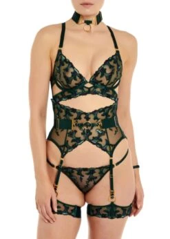 Aurea Thong (Eden) 9 Aurea Thong (Eden) -BLUEBELLA Sales Store bordelle aurea soft mesh lace thong eden green bottoms sexy lingerie F