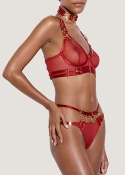 Kleio Open Back Brief (Burnt Red) 7 Kleio Open Back Brief (Burnt Red) -BLUEBELLA Sales Store bordelle kleio open back ouvert brief red sexy underwear lingerie E