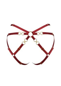 Kleio Open Back Brief (Burnt Red) 9 Kleio Open Back Brief (Burnt Red) -BLUEBELLA Sales Store bordelle kleio open back ouvert brief red sexy underwear lingerie I