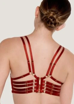 Kleio Ouvert Wire Bra (Burnt Red) 9 Kleio Ouvert Wire Bra (Burnt Red) -BLUEBELLA Sales Store bordelle kleio ouvert wired open cupless bra red underwired sexy lingerie C