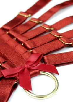 Webbed Suspender (Burnt Red) -BLUEBELLA Sales Store bordelle webbed suspender burnt red sigs01br 1