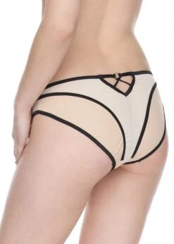 Everyday Brief 7 Everyday Brief -BLUEBELLA Sales Store cat001 31 d