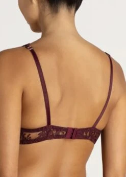 Camellia High Apex Plunge Bra (Sienna) -BLUEBELLA Sales Store coco de mer camellia high apex plunge bra underwired red lace sienna avec amour luxury lingerie C