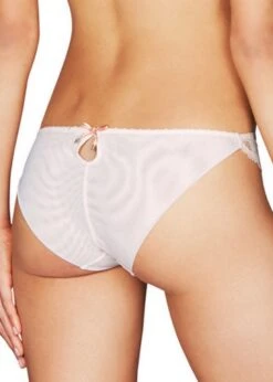 Made In Eden Bikini Brief -BLUEBELLA Sales Store h30 1392 heidi klum intimates made in eden bikini brief nude gardenia scallop shell c 1