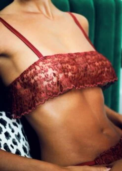 Lola Brazilian Knicker (Red Leopard) 15 Lola Brazilian Knicker (Red Leopard) -BLUEBELLA Sales Store muse by coco de mer lola brazilian knicker red leopard lace underwear sexy luxury lingerie G