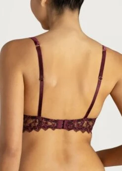 Stella Plunge Bra (Plum) -BLUEBELLA Sales Store muse by coco de mer stella plunge bra plum lace underwired luxury lingerie C