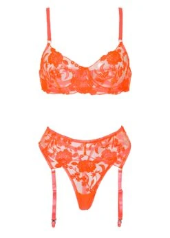 Regina Bra, Thong And Suspender Set